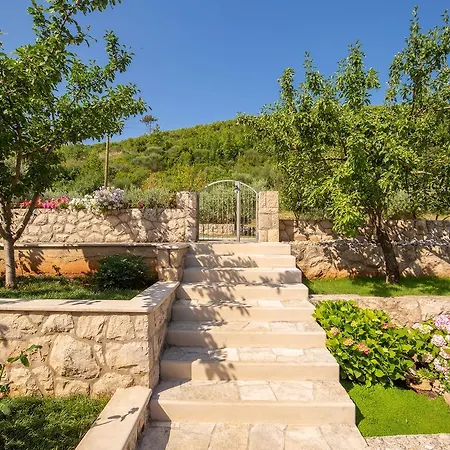 Paradise דירה